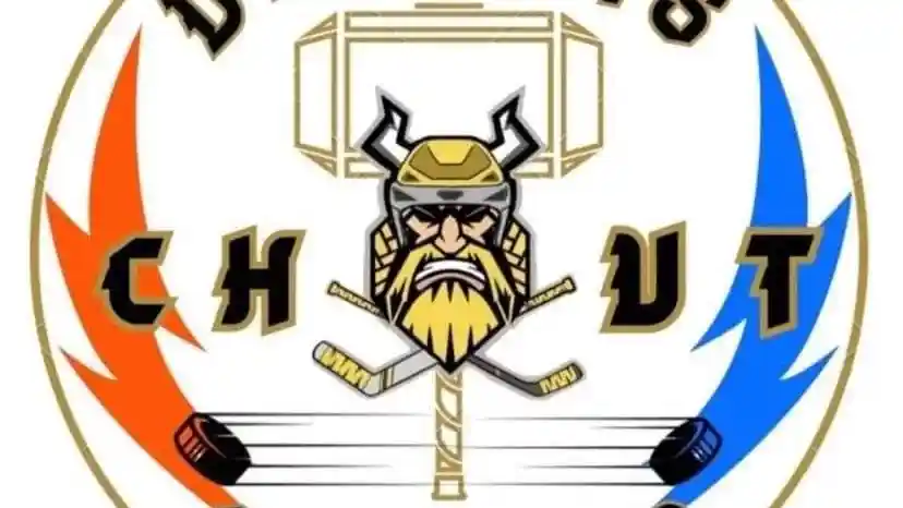 Curva del Milano e Vikings
