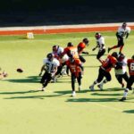Rhinos milano