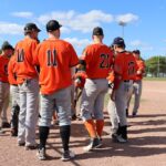 squadre storiche baseball Milano