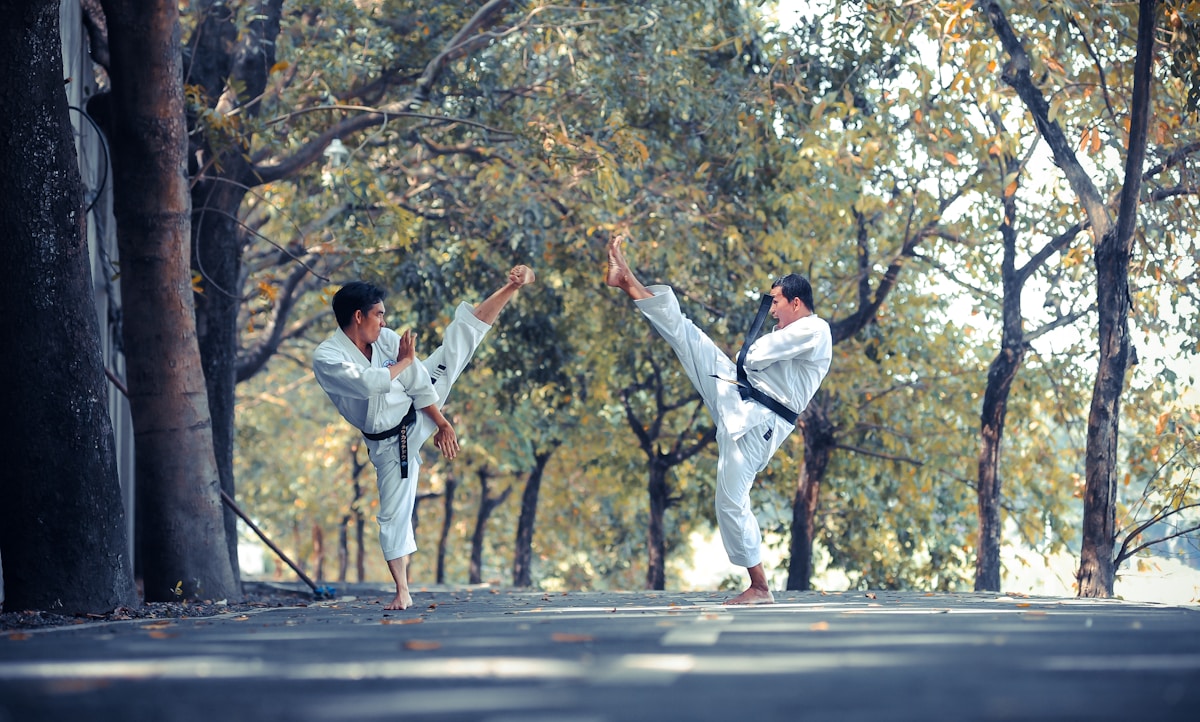 taekwondo dress
