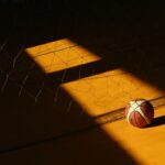 Olimpia Milano play-in EuroLeague