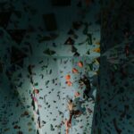 Corsi avanzati di arrampicata a Milano
