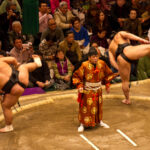 Curiosità sul sumo