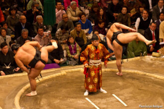 Curiosità sul sumo