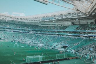 people watching soccer game