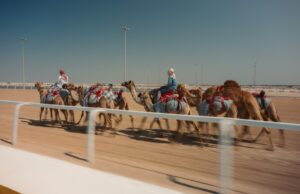 Qatar, dalla falconeria alla Formula 1: la nuova capitale globale dello sport