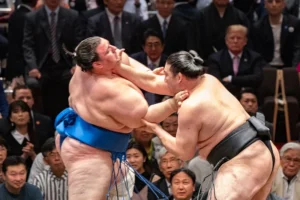 Sumo Sport Giapponese: Storia E Tradizione