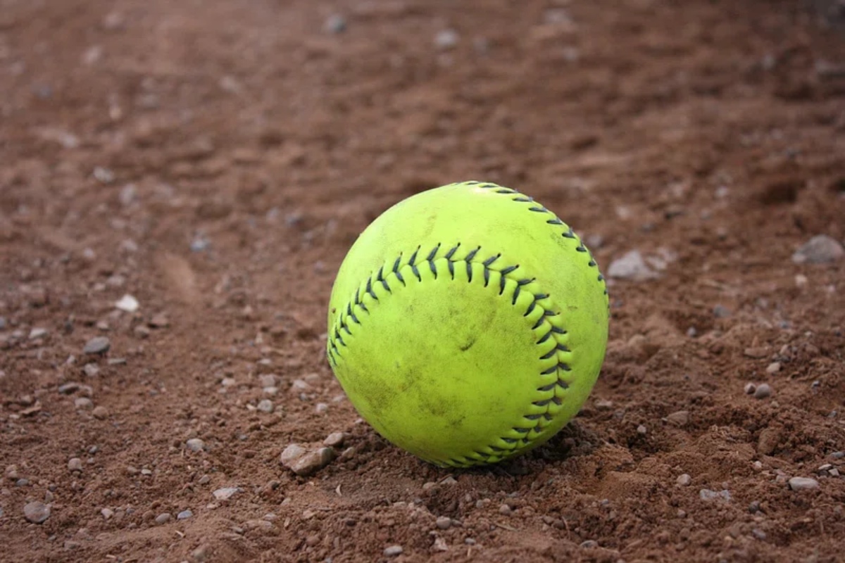 Softball Bollate - stagione 2026
