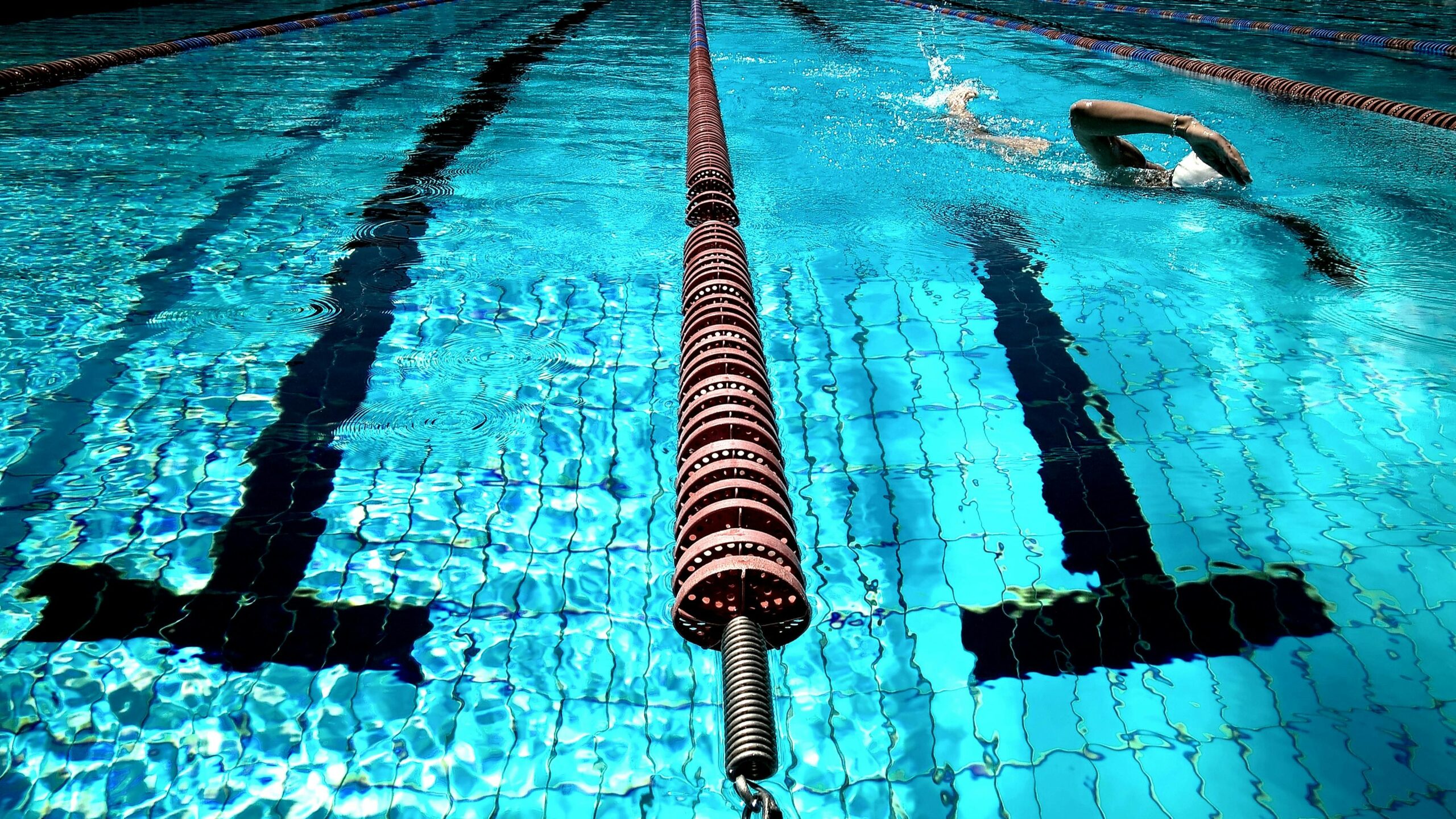 Canottaggio o nuoto