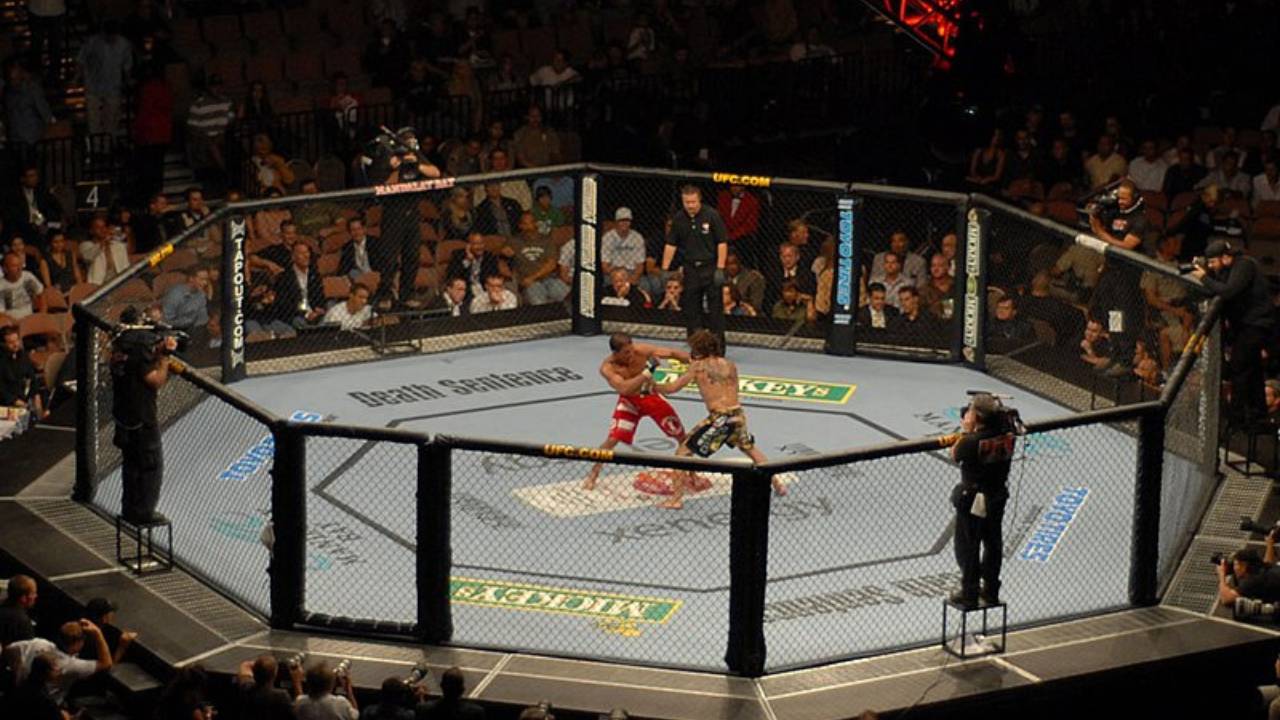 MMA Milano